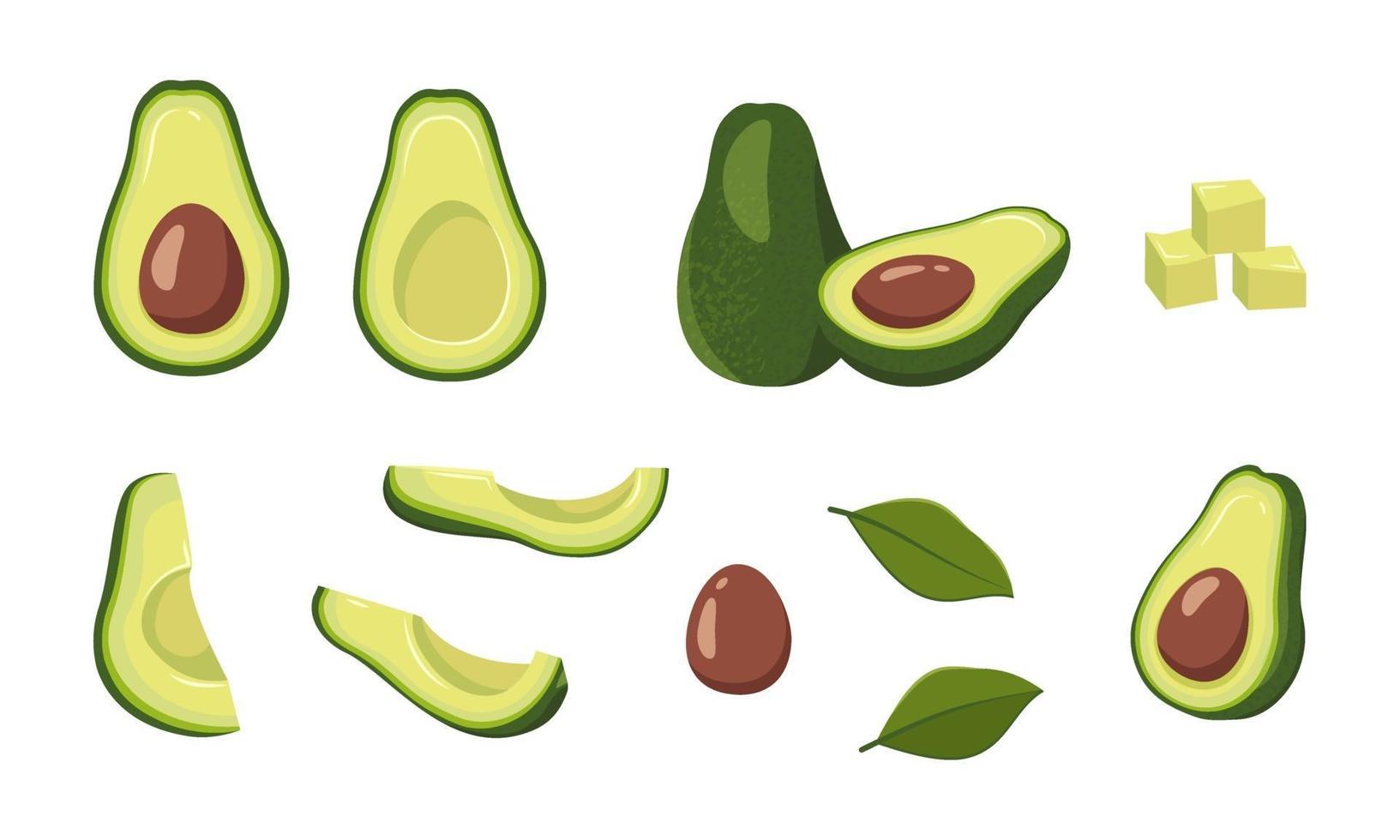 Avocado icons set. green food, half, slices, with a large seed. vector