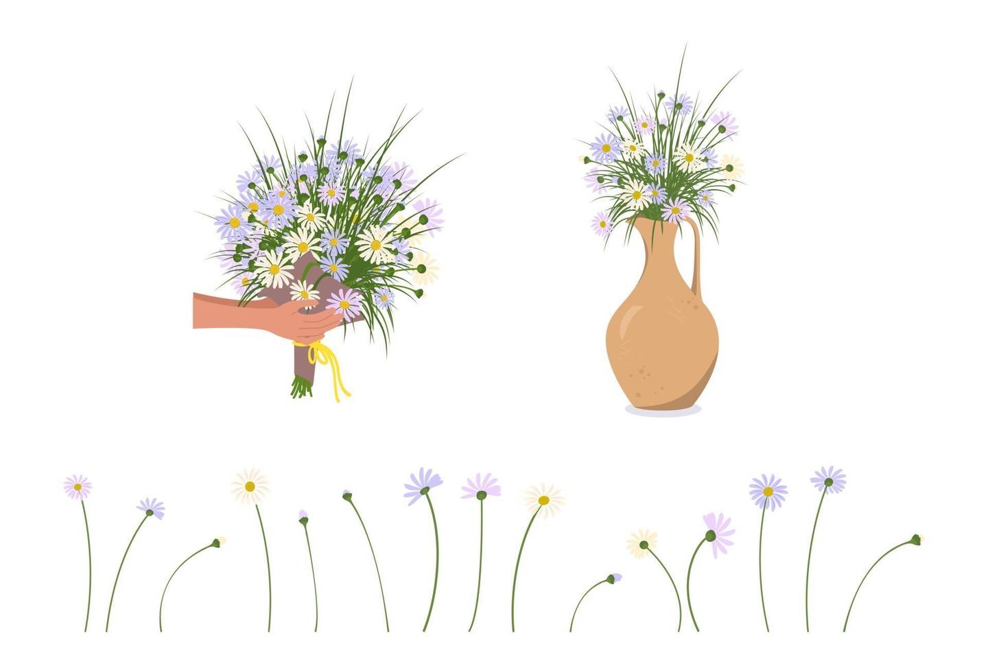 Hands with daisies. Delivery of a bouquet and flowers in a vase or jug vector