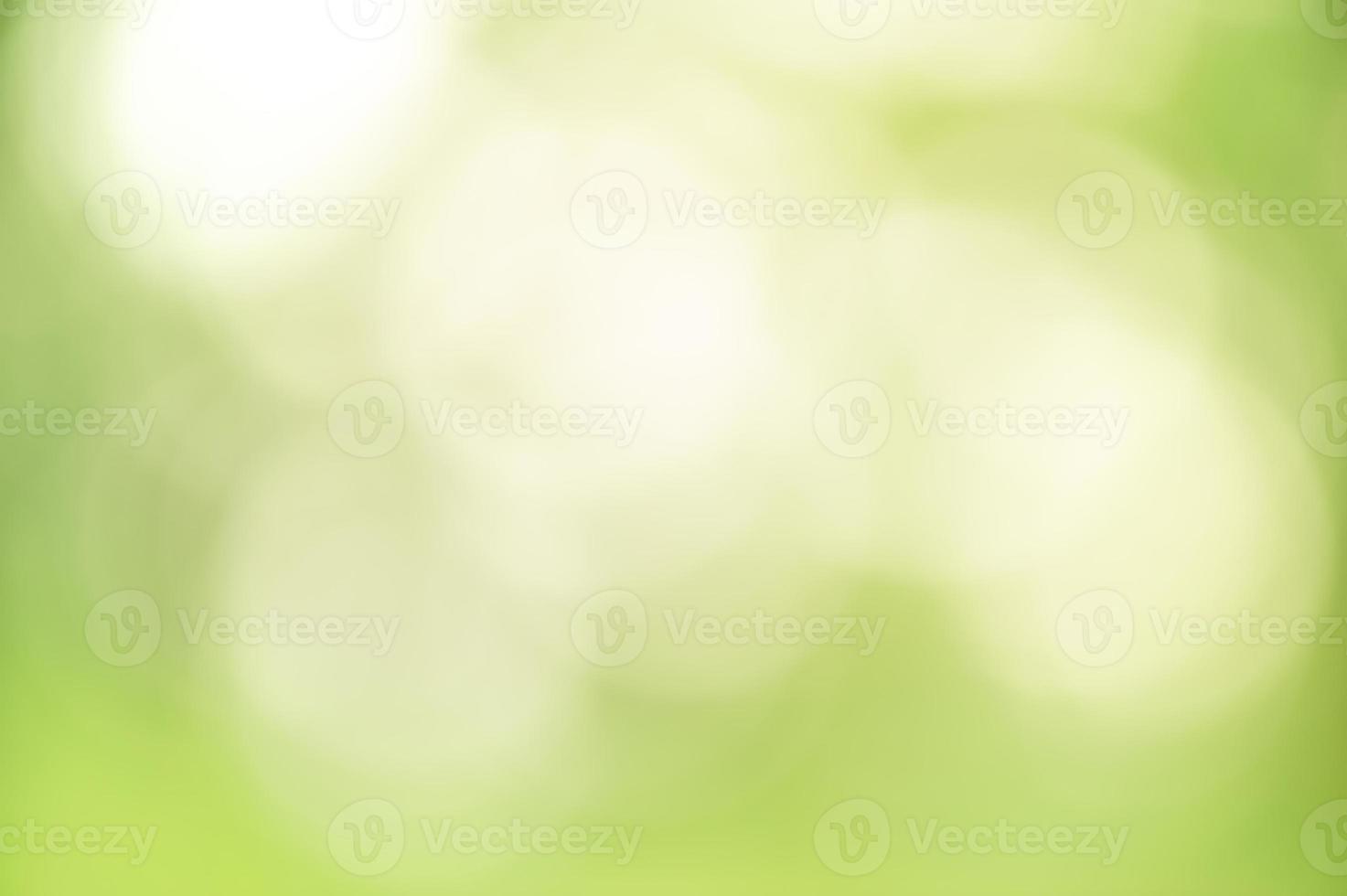 abstract blur green color blurred and defocused effect for design photo