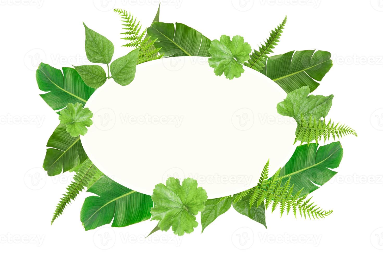plantilla de marco de hojas ovaladas tropicales verdes foto