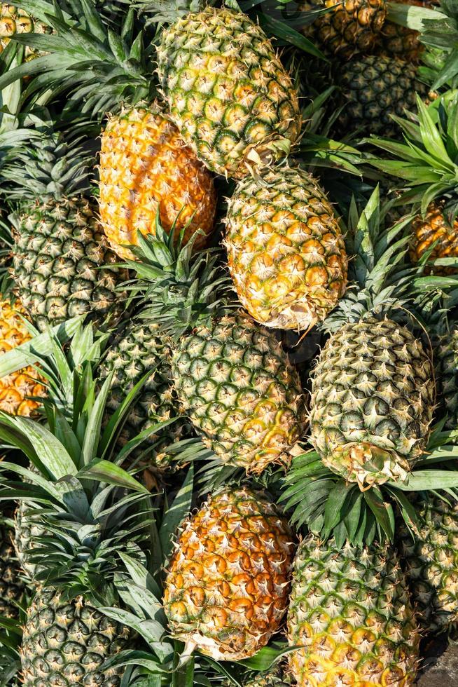 Fresh harvest of juicy pineapple from the farm photo