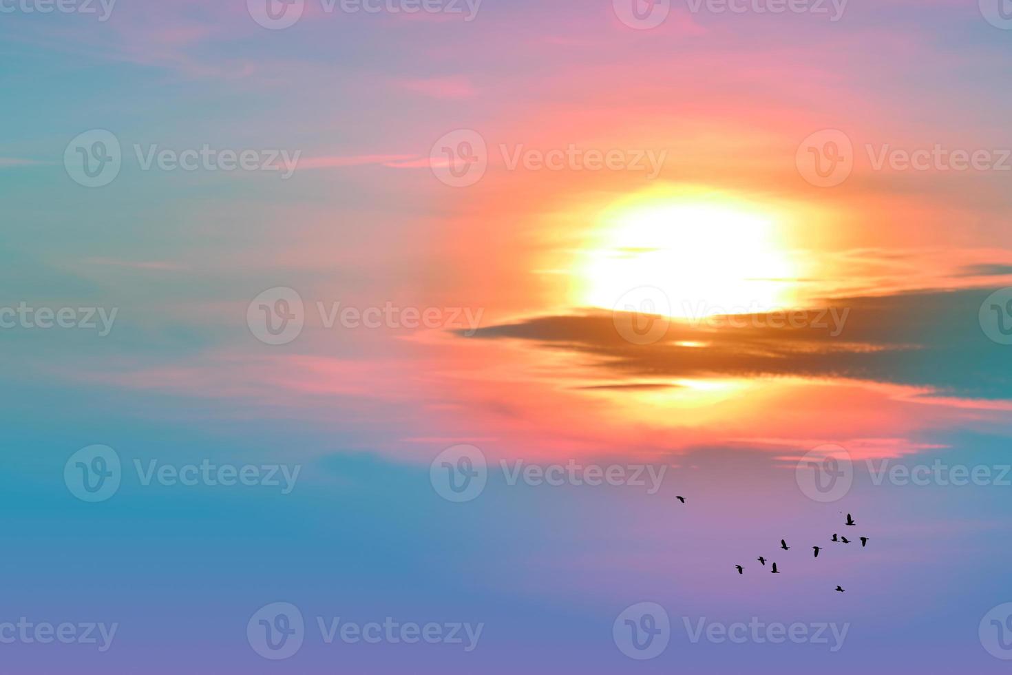 sunset back on the evening light pastel cloud on sky and birds flying photo
