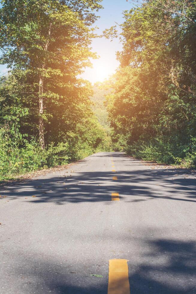 Country Road With Trees Beside in rural area. Nature and green. photo