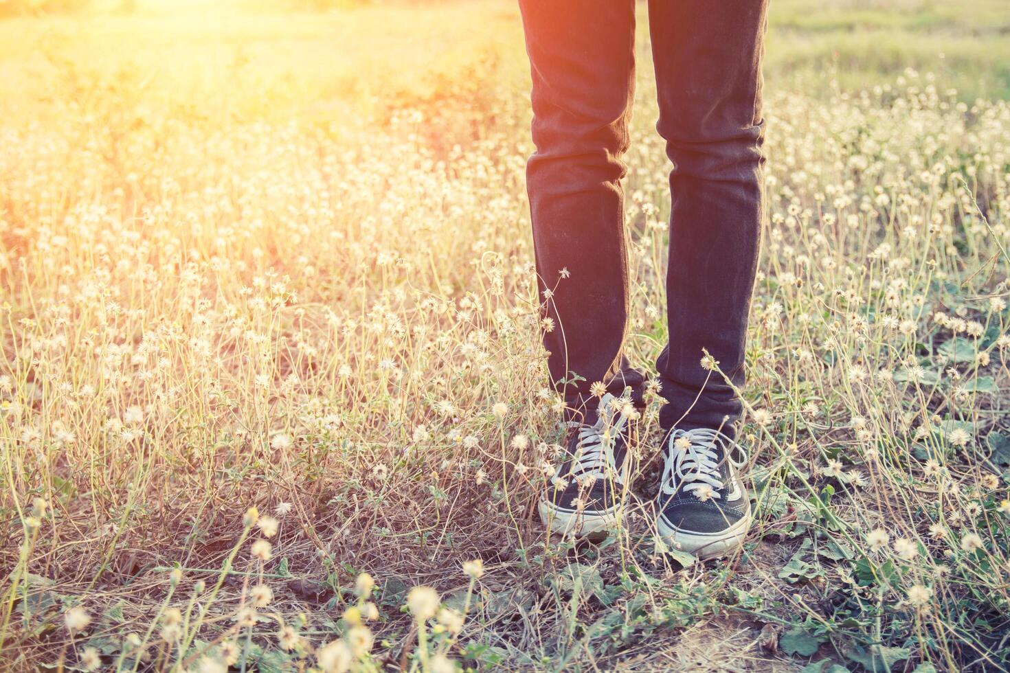 zapatos deportivos de mujer y prados foto