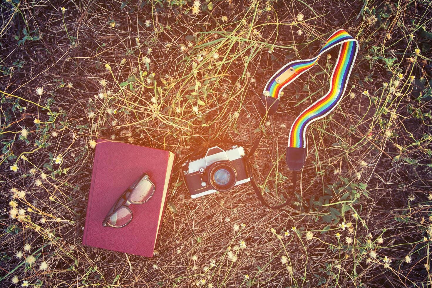 Vintage style of retro camera with book and glasses in the flowe photo