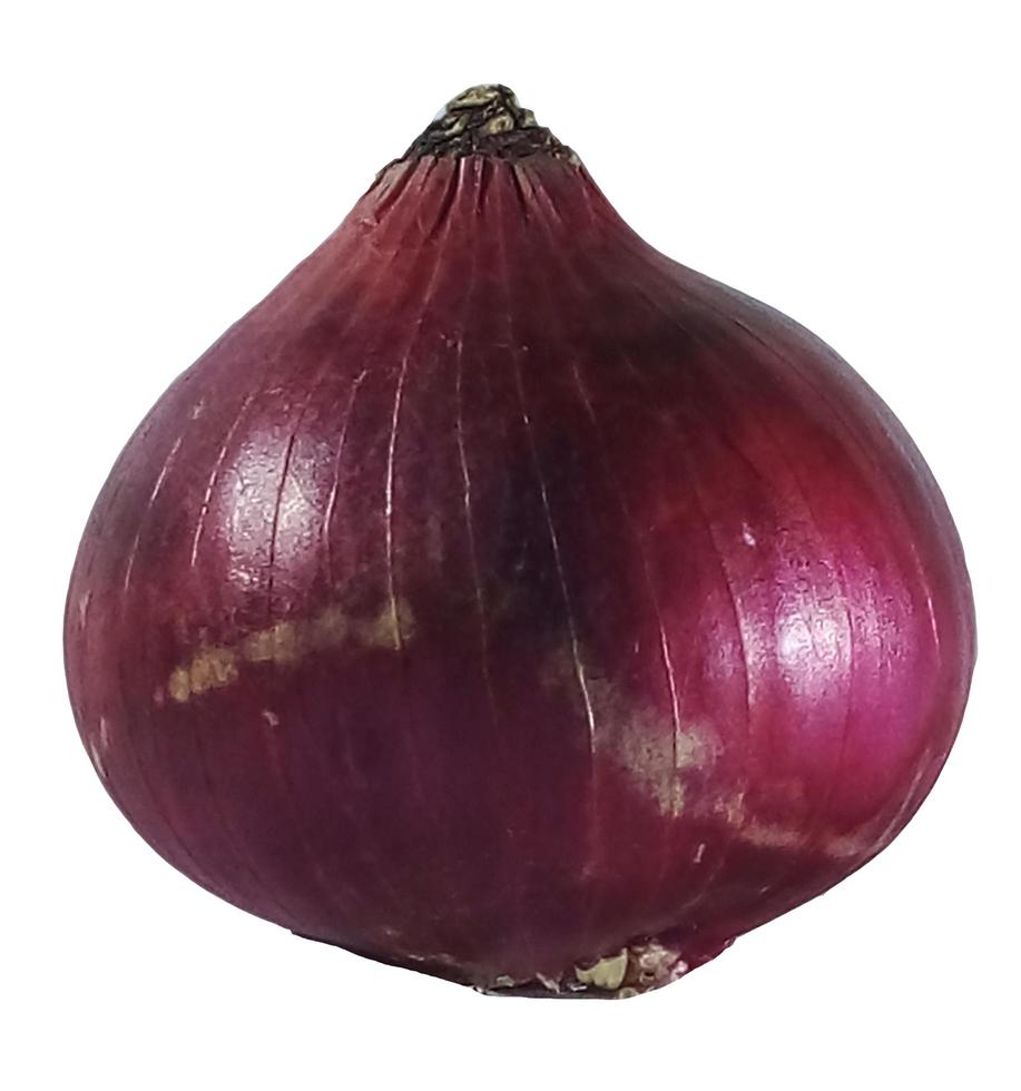 Onion isolated on a white background photo