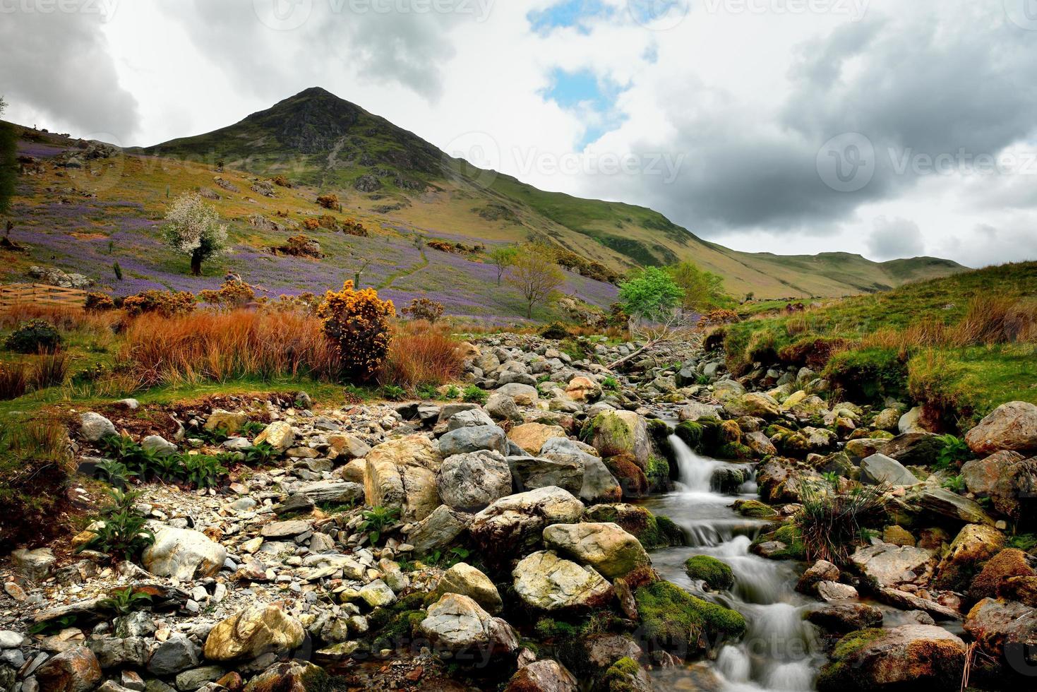 Tourists and the Rannerdale Blue Bells photo