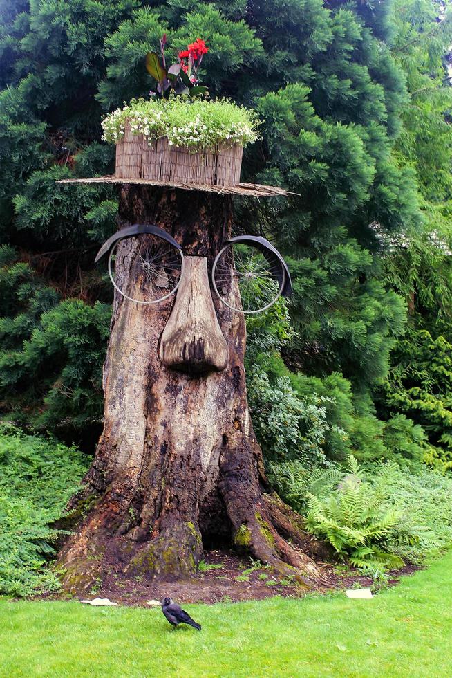 decoración al aire libre del recorte del árbol marrón foto