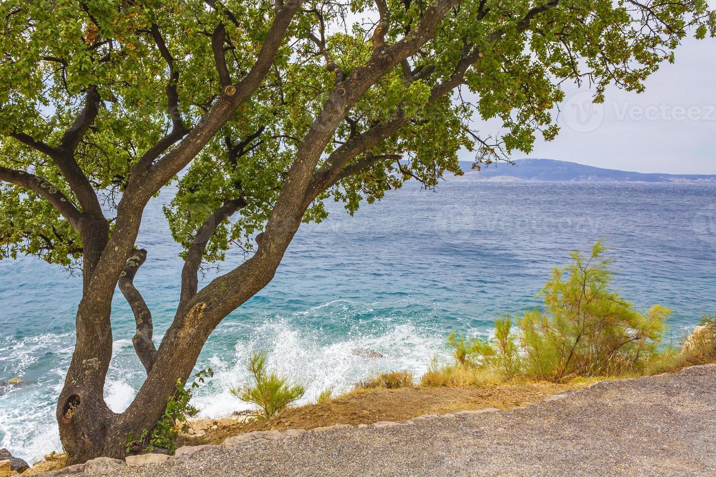 hermoso paisaje en novi vinodolski croacia detrás de un árbol. foto