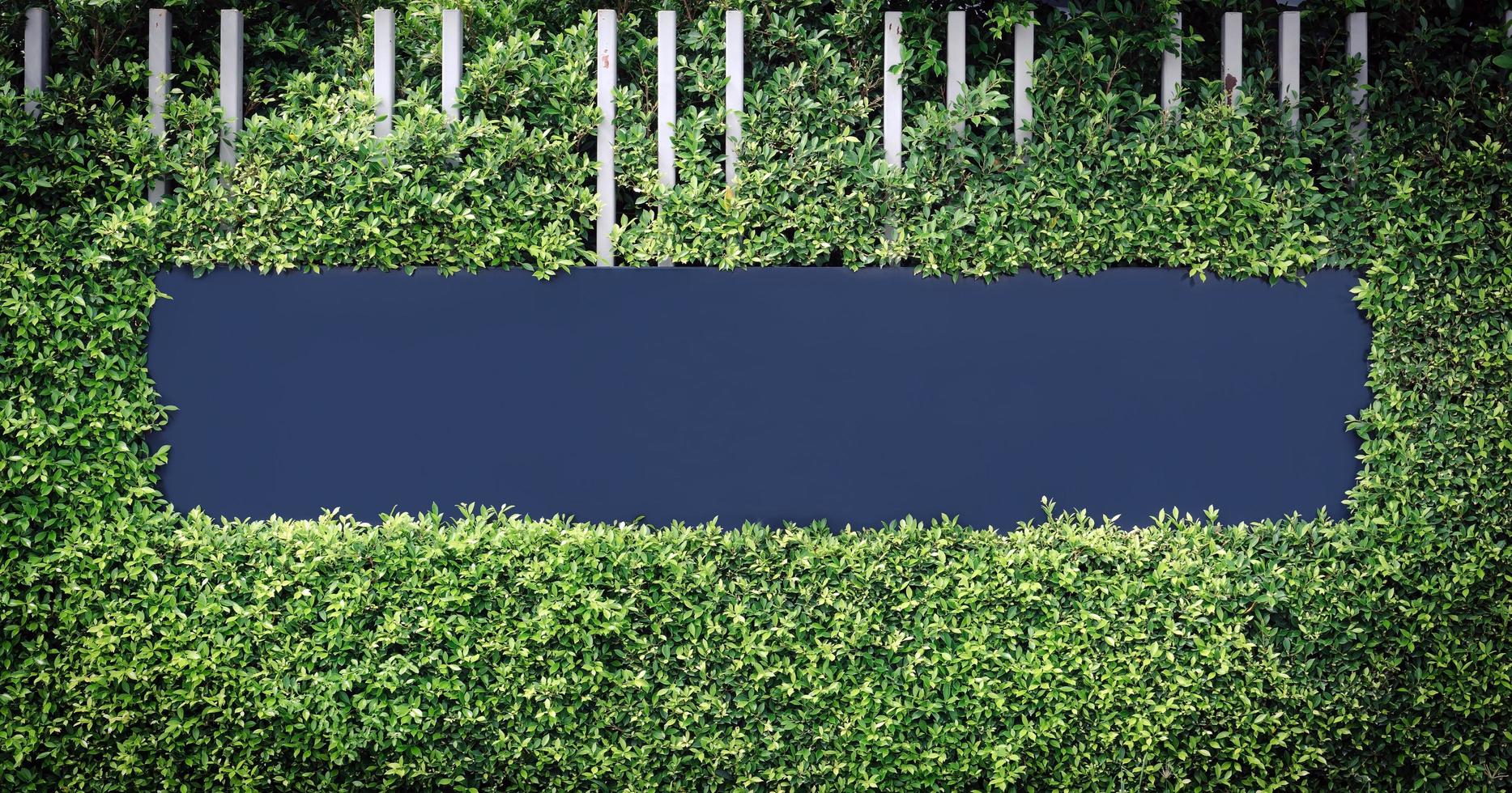 Blue blank labels for text or image logos framed by green leaves. photo
