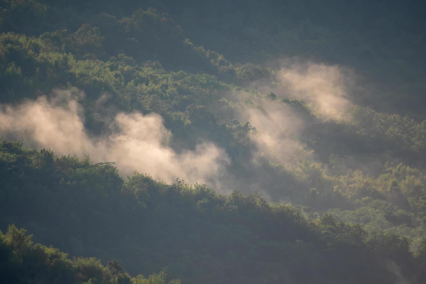 la niebla que fluye por la colina foto