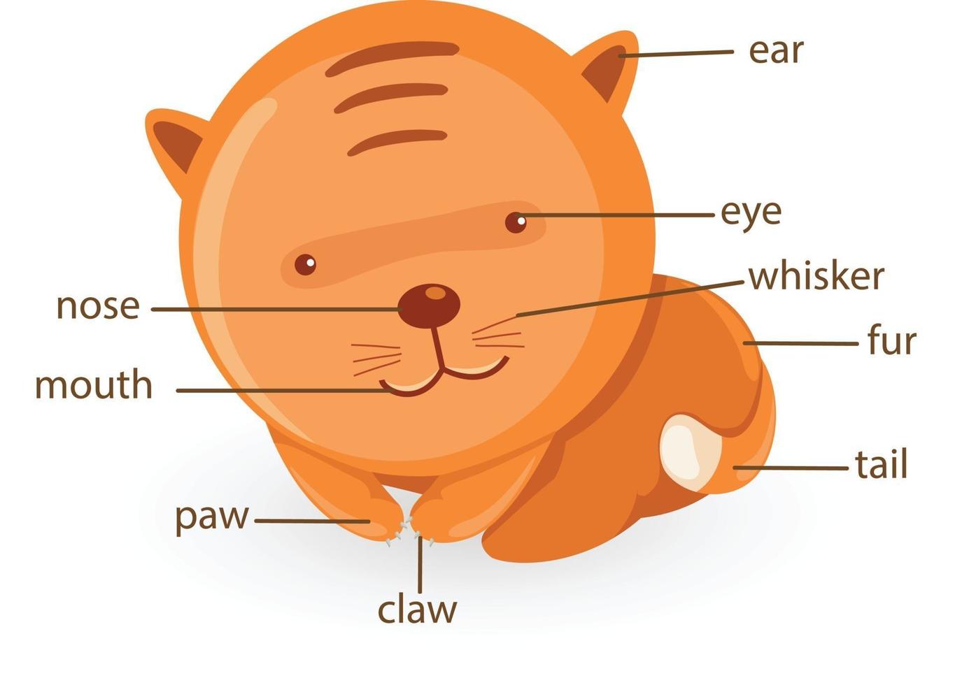 cat vocabulary part of body vector