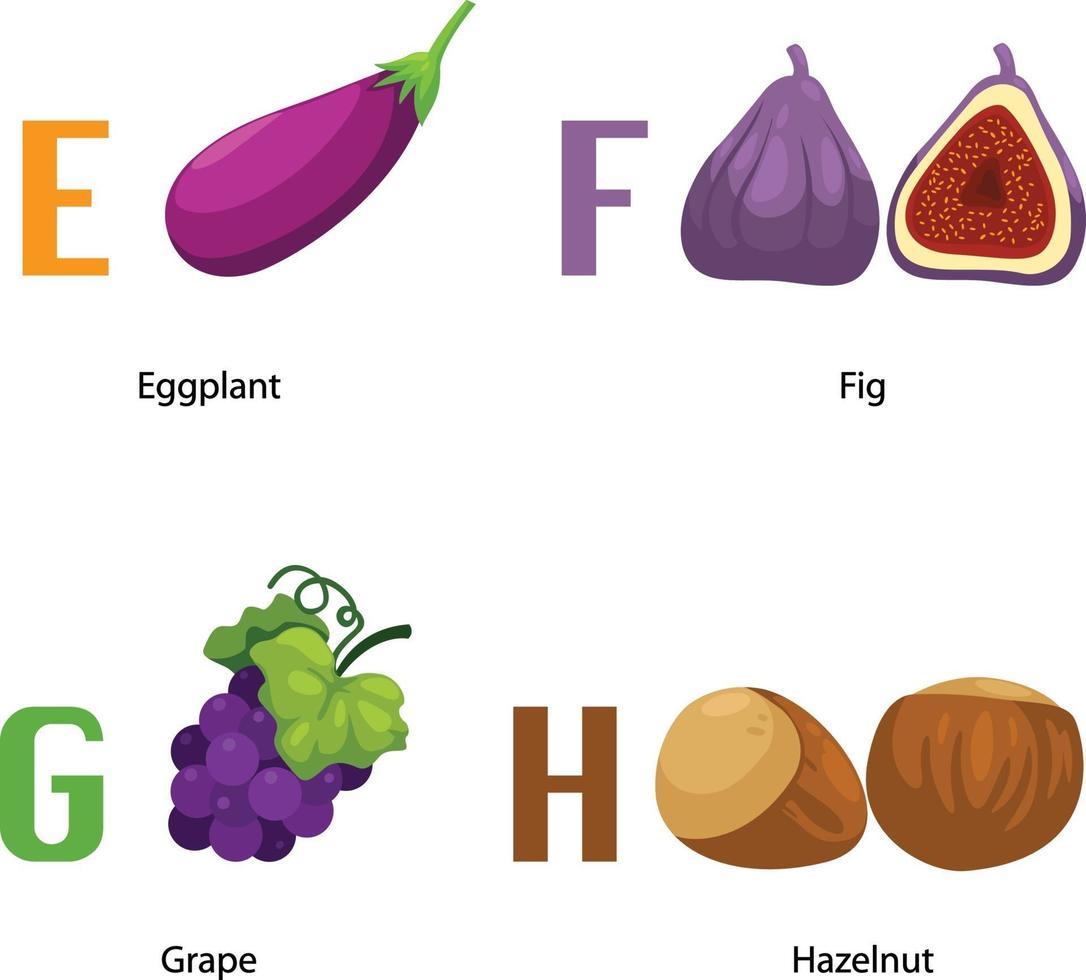 alfabeto eh letter.eggplant, higo, uva, avellana.vector vector