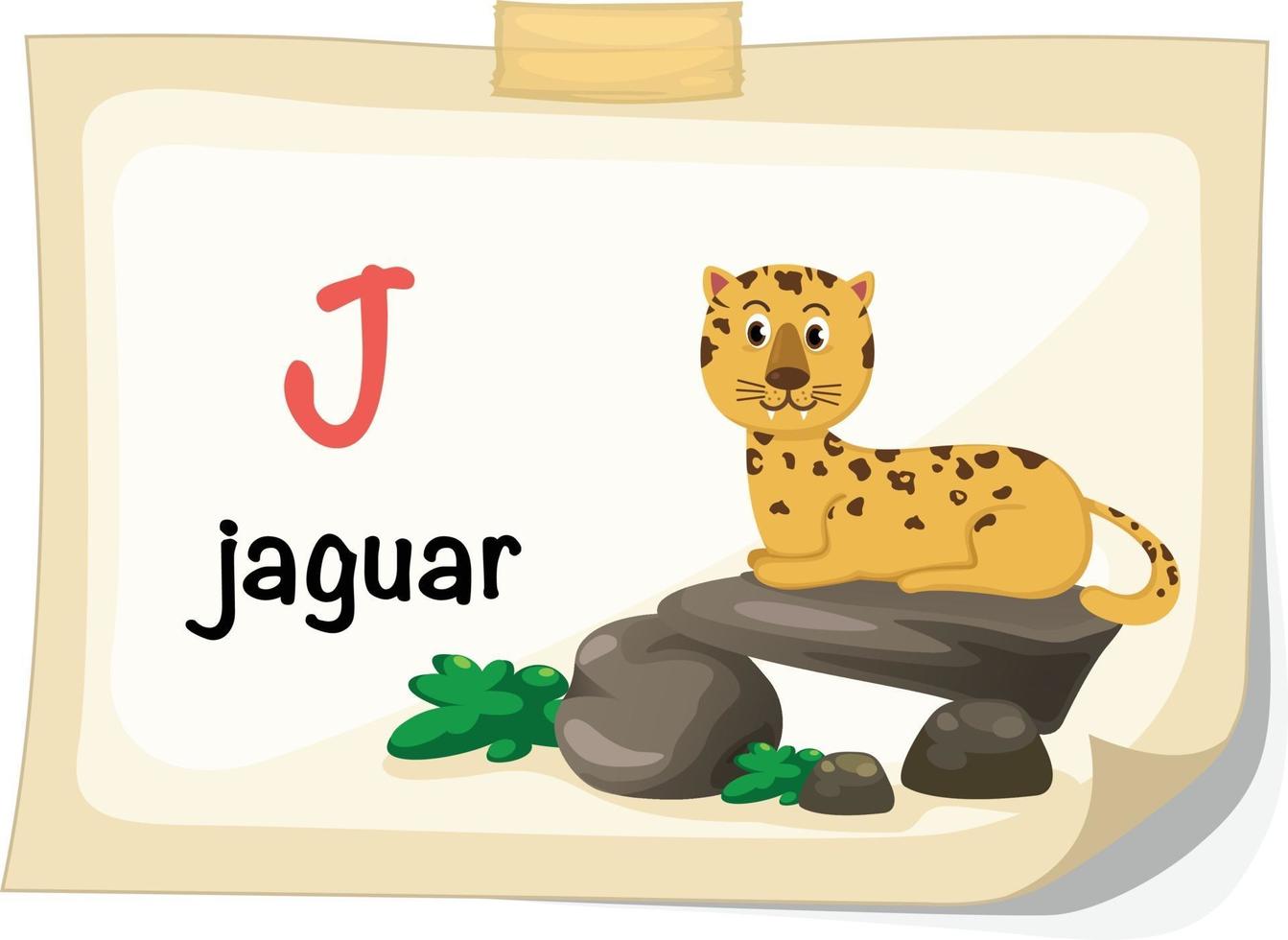 animal alphabet letter J for jaguar illustration vector