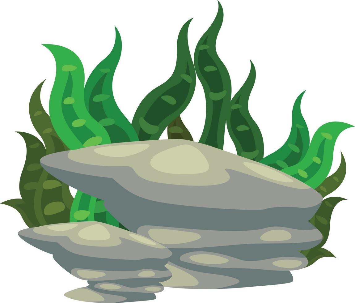 seaweed with stone vector
