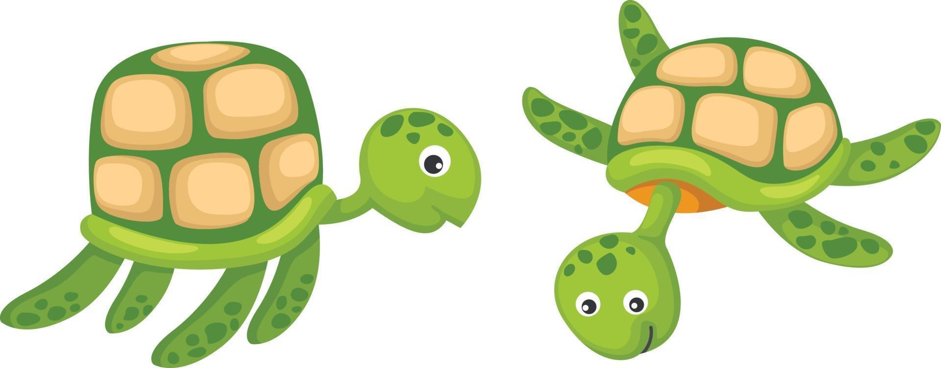 two turtle vector