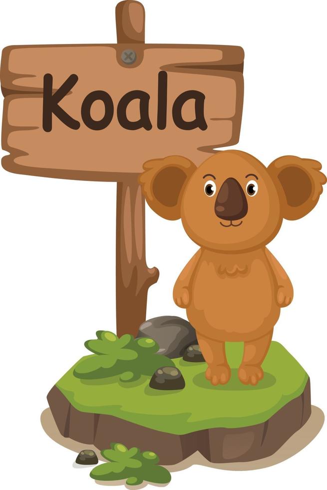 animal alfabeto letra k para koala vector