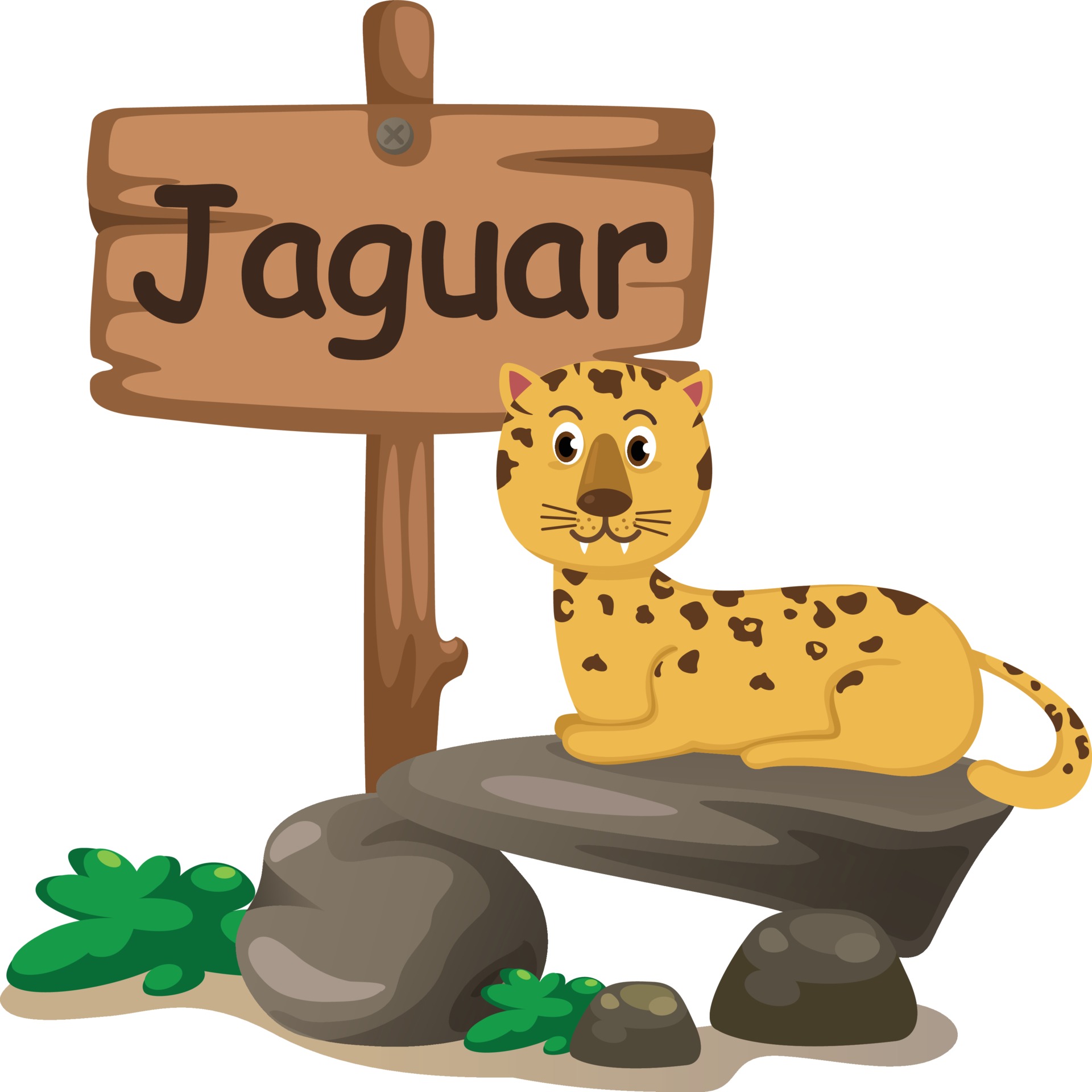 animal alphabet letter J for jaguar 3116374 Vector Art at Vecteezy