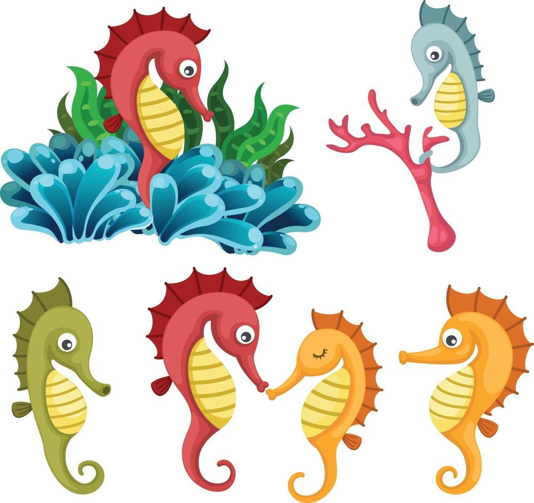 isolated seahorses vector