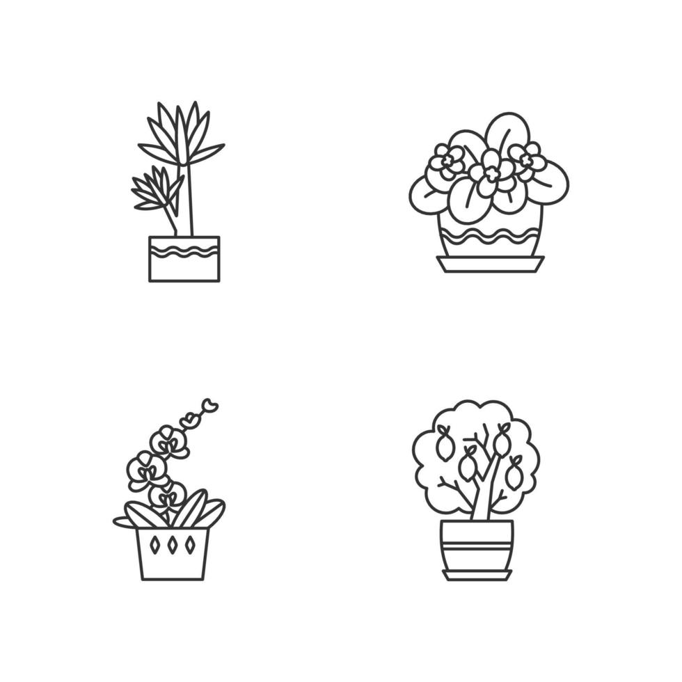 Decorative indoor plants pixel perfect linear icons set vector