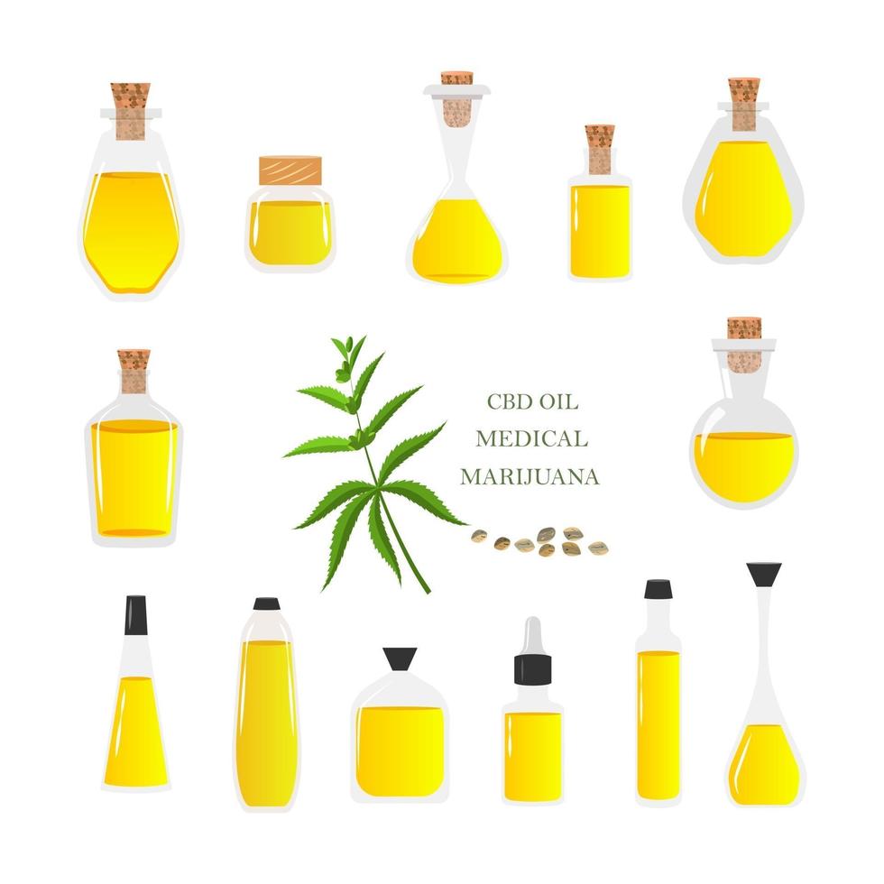 Vector illustration of hemp oil.