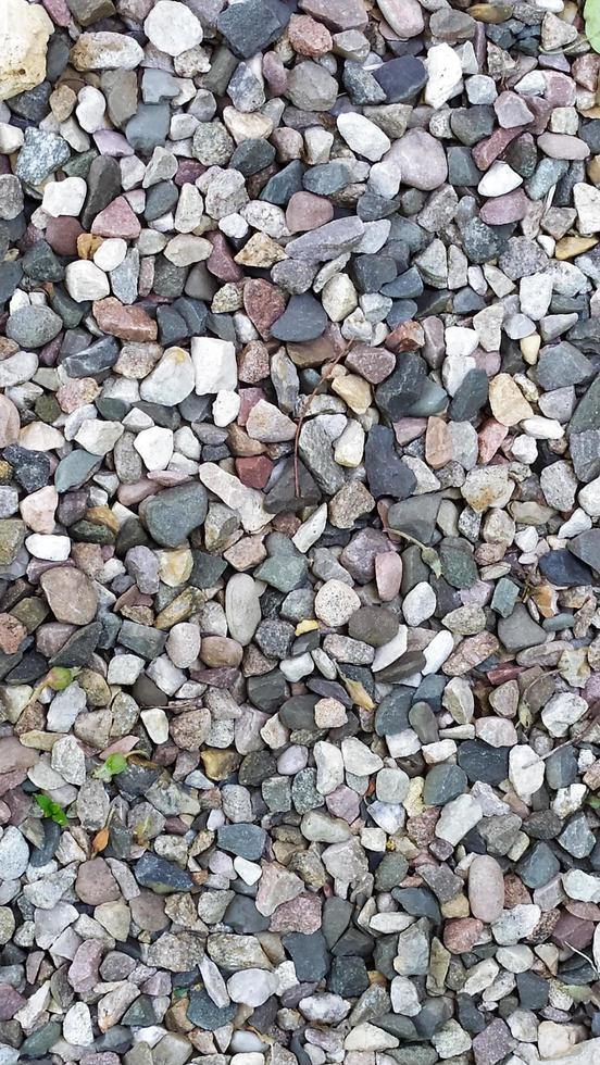 Pebbles small. Background from multicolored river pebbles. photo