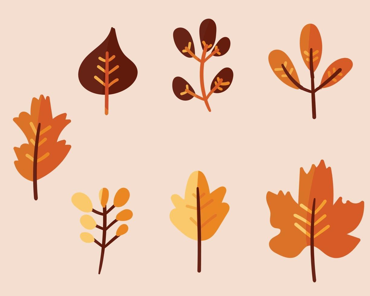 colección de hojas de otoño. dibujado a mano ilustración vectorial vector