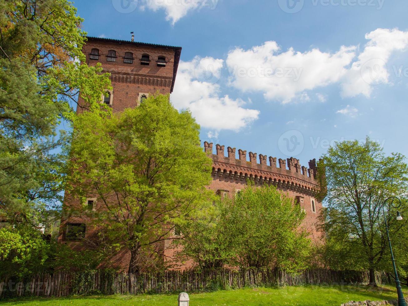 Medieval Castle Turin photo