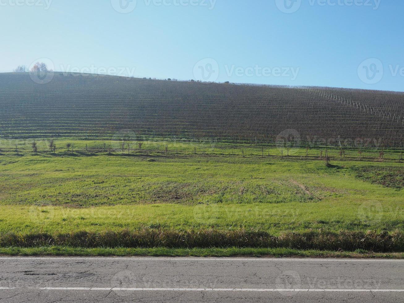 Roero hills in Piedmont photo