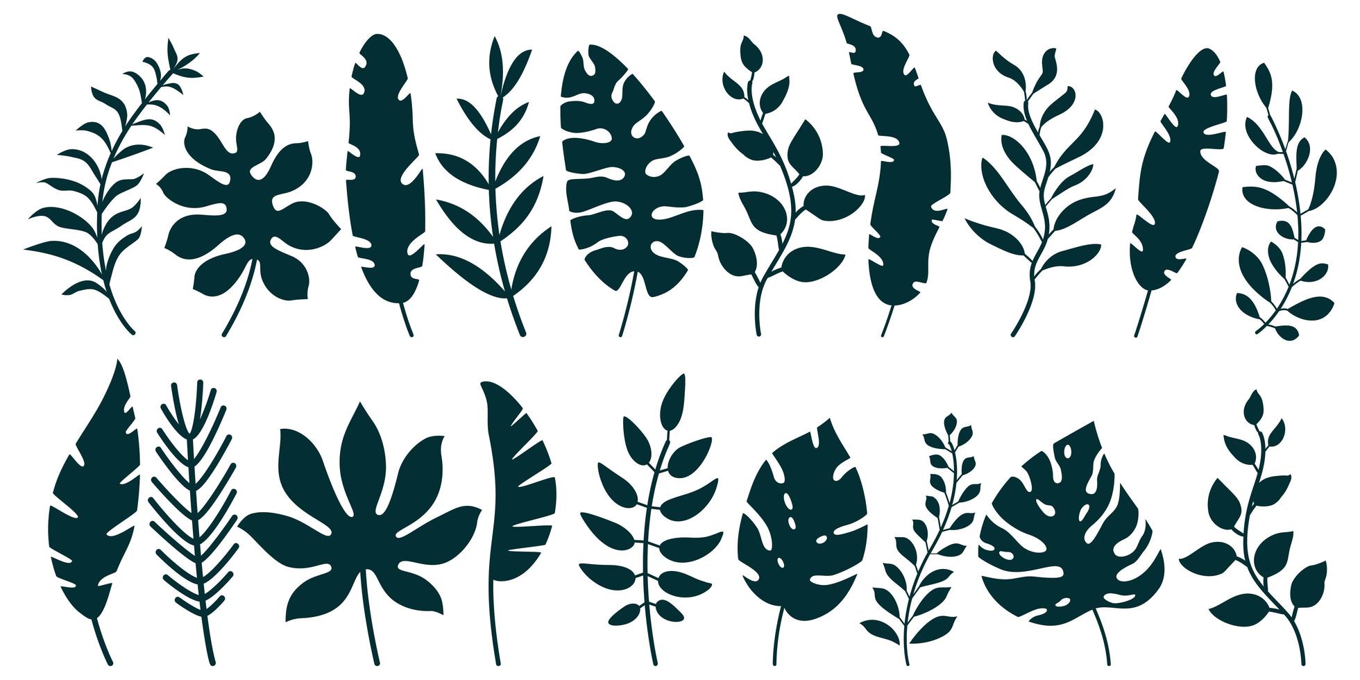 Set of black silhouettes of tropical leaves vector