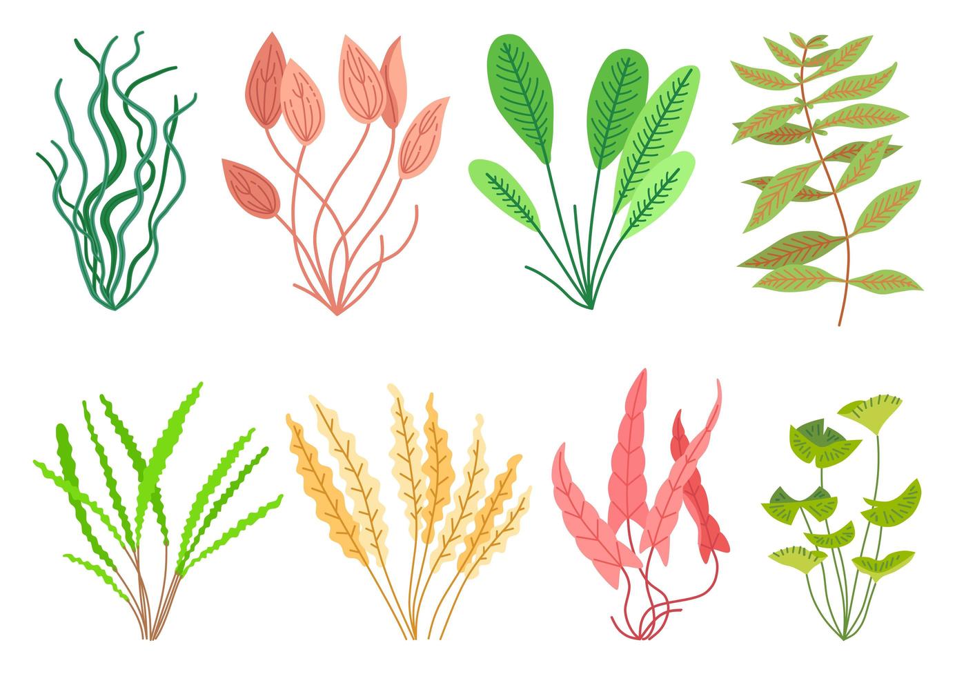 Cute cartoon aquarium plants set. Wildlife nature vector