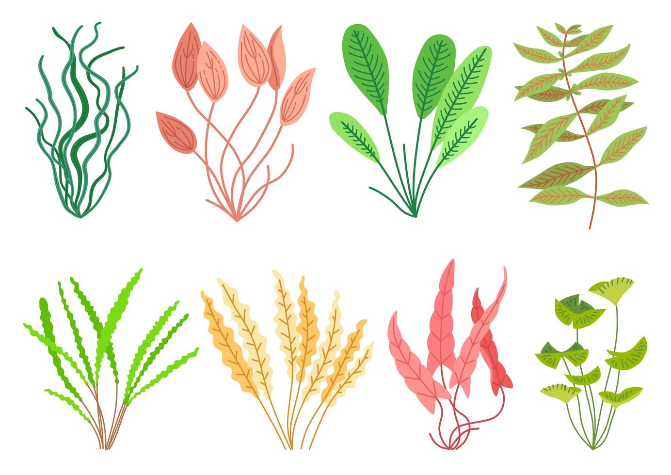 Conjunto de plantas de acuario de dibujos animados lindo. naturaleza de la vida silvestre vector