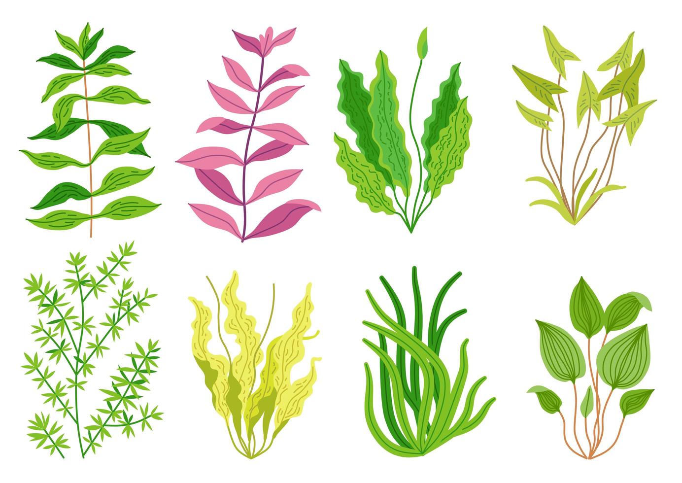 Conjunto de plantas de acuario de dibujos animados lindo. naturaleza de la vida silvestre vector