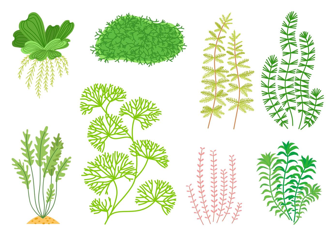 Conjunto de plantas de acuario de dibujos animados lindo. naturaleza de la vida silvestre vector