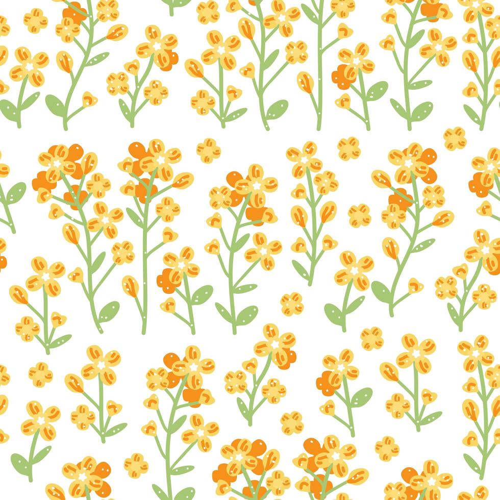 Rapeseed pattern on white background. Vector hand drawn illustration.