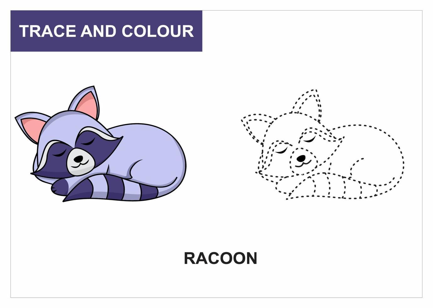 trace and colour racoon vector