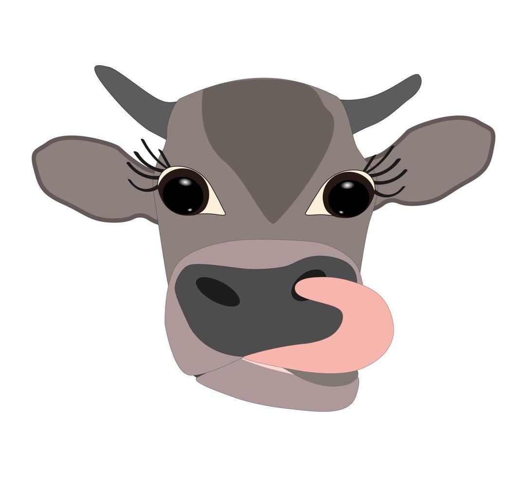 head of a gray-brown cow  and tongue sticking out on a white vector
