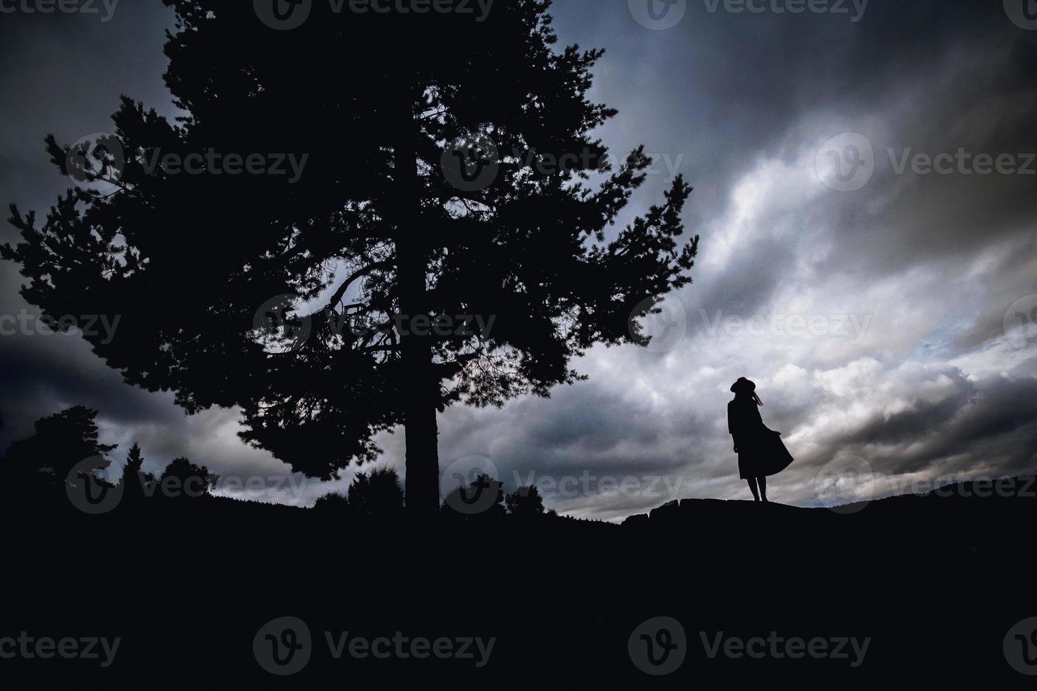 Silhouette of a woman in a dress standing near a tree photo