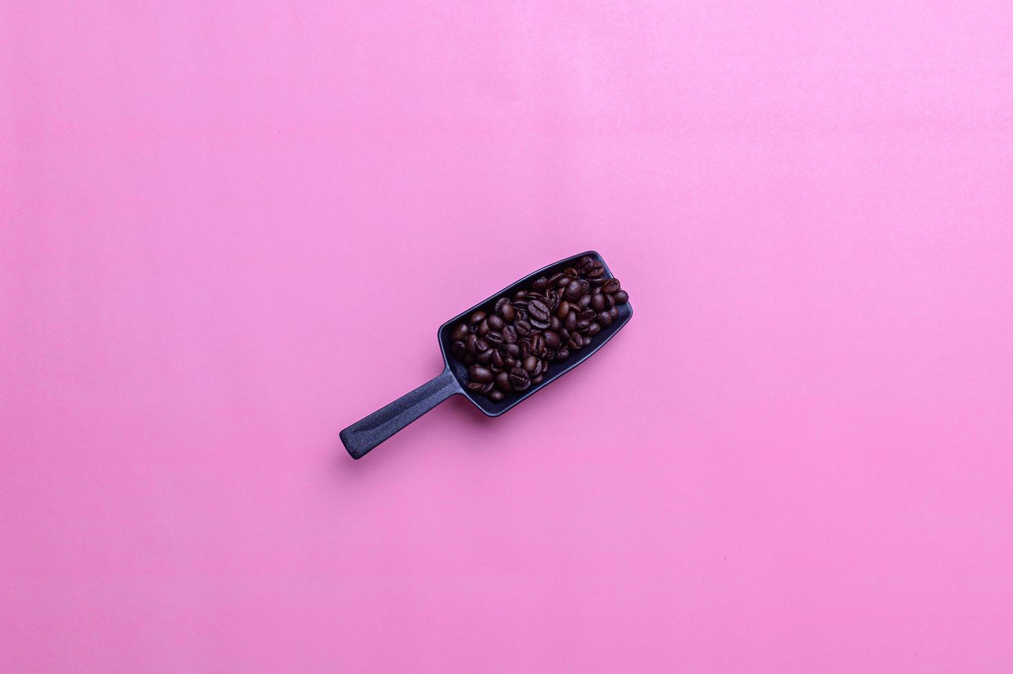 coffee beans on a pink background photo
