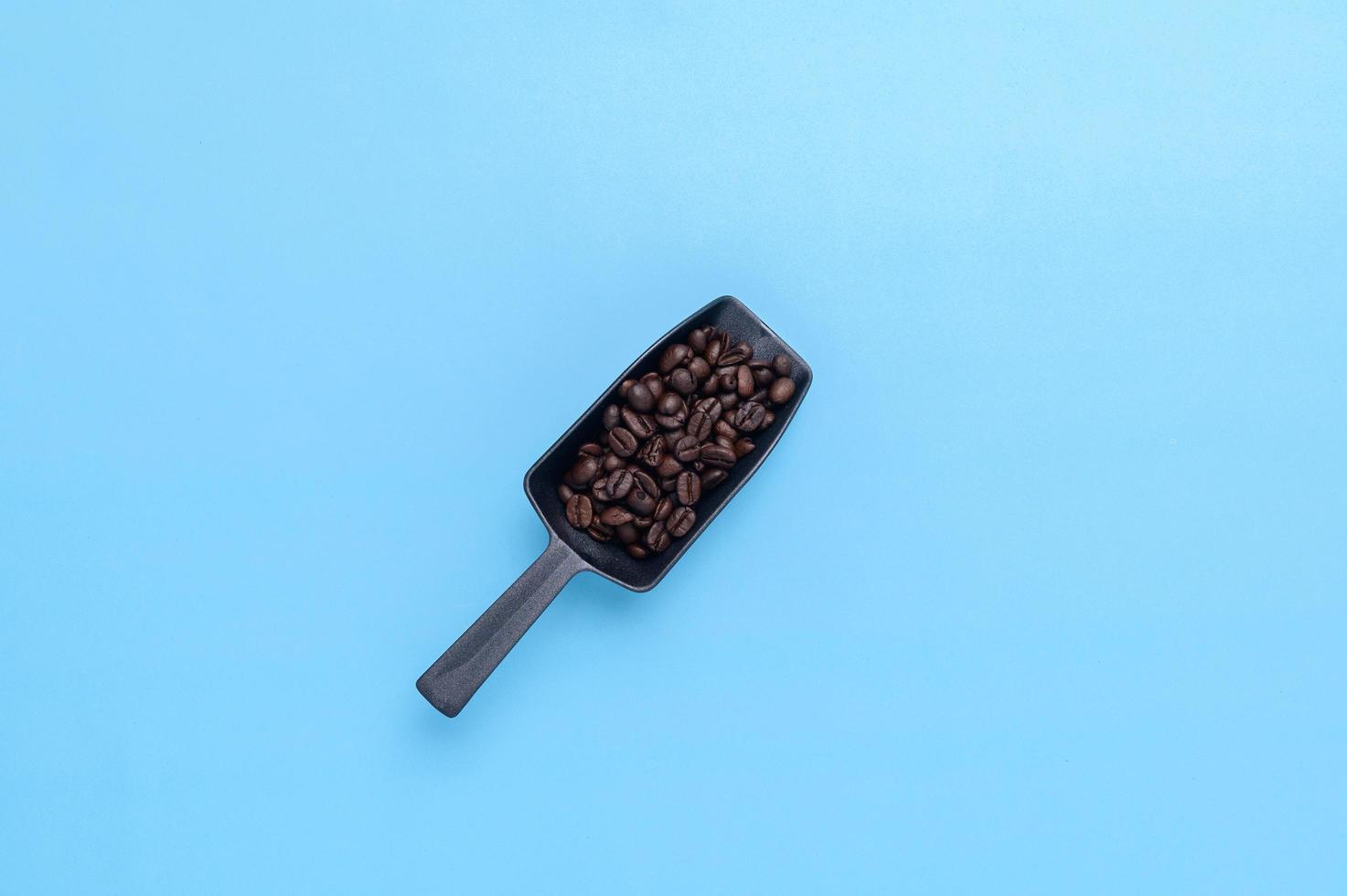 coffee beans on a blue background photo