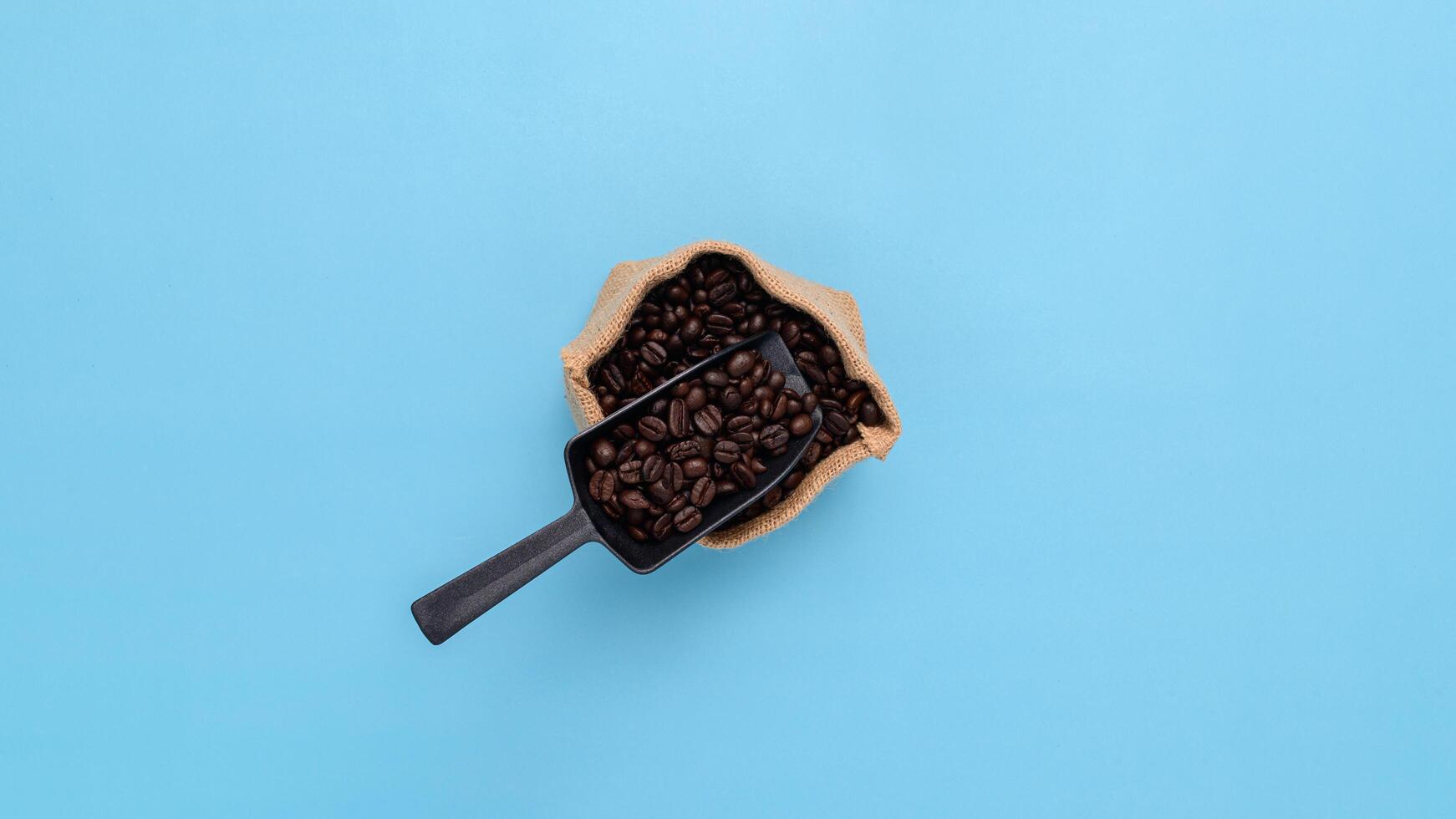 coffee beans on a blue background photo