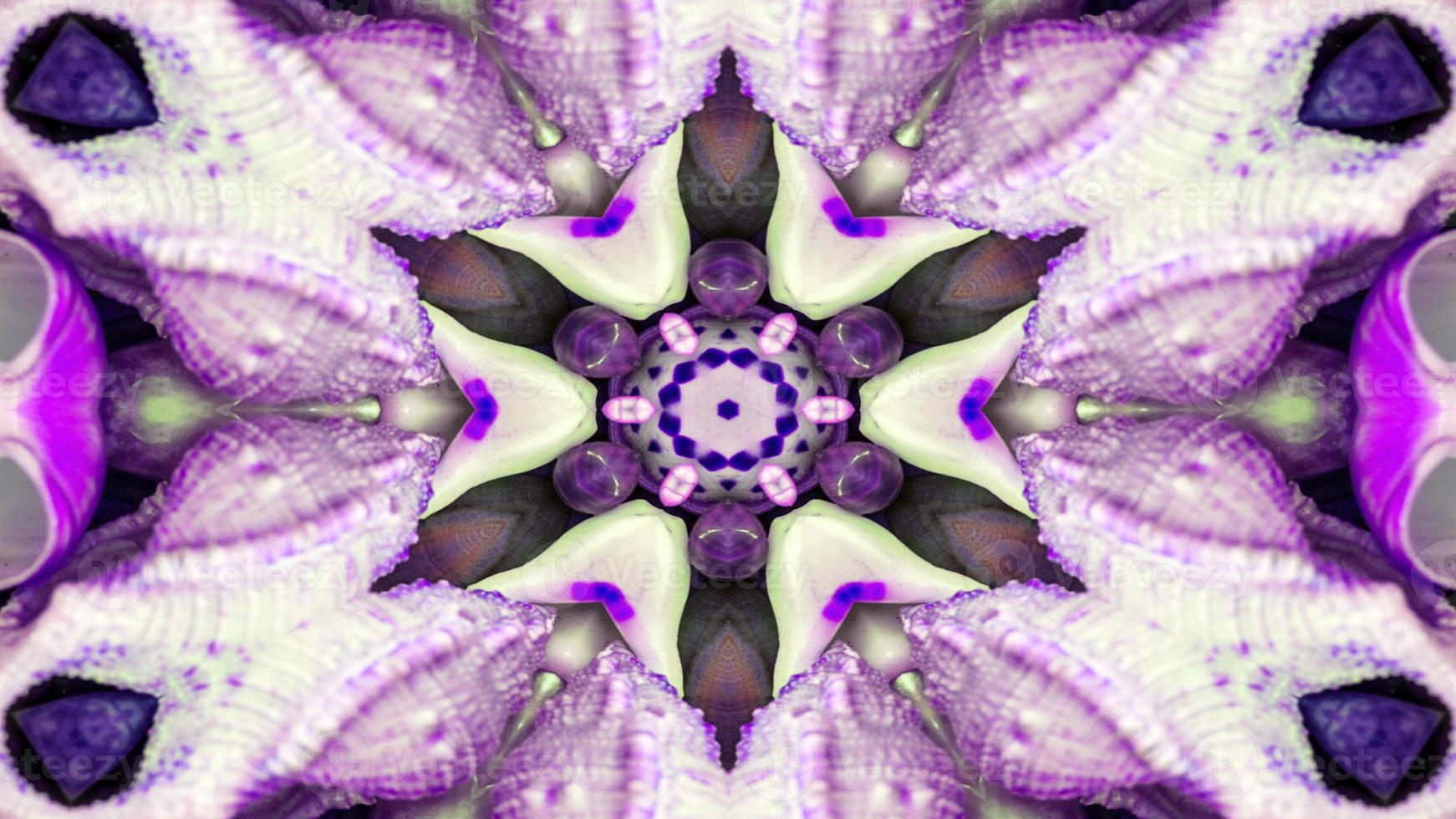 Dry Seashells and Stars Kaleidoscope photo