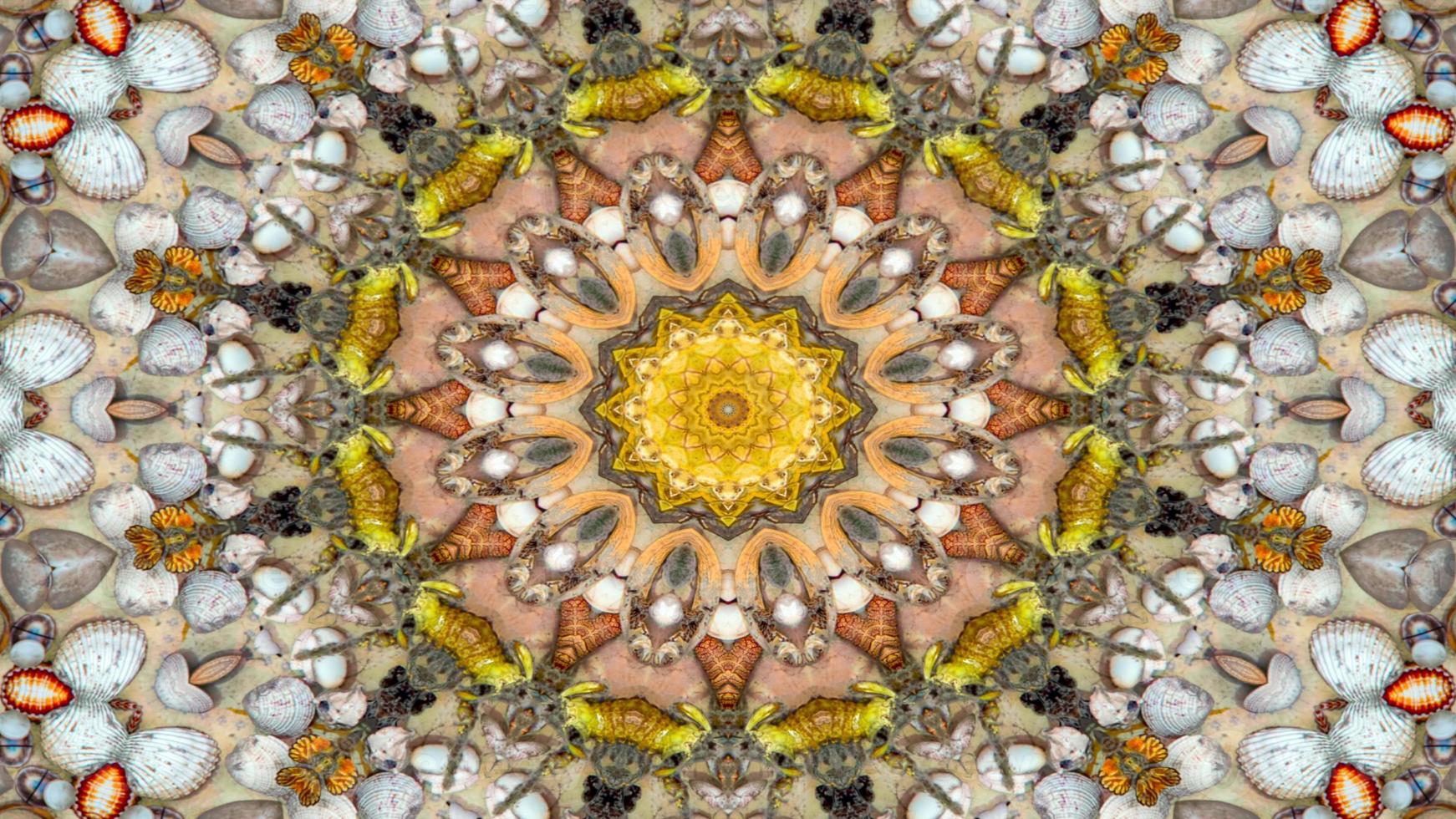 Dry Seashells and Stars Kaleidoscope photo