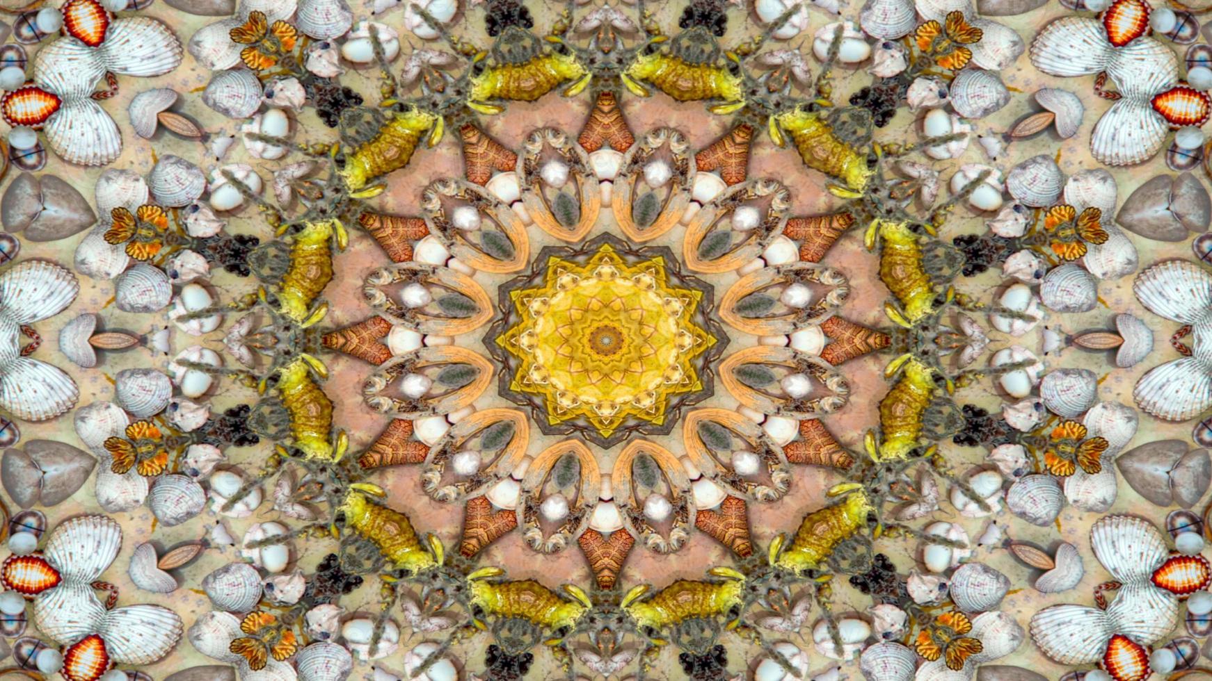 Dry Seashells and Stars Kaleidoscope photo