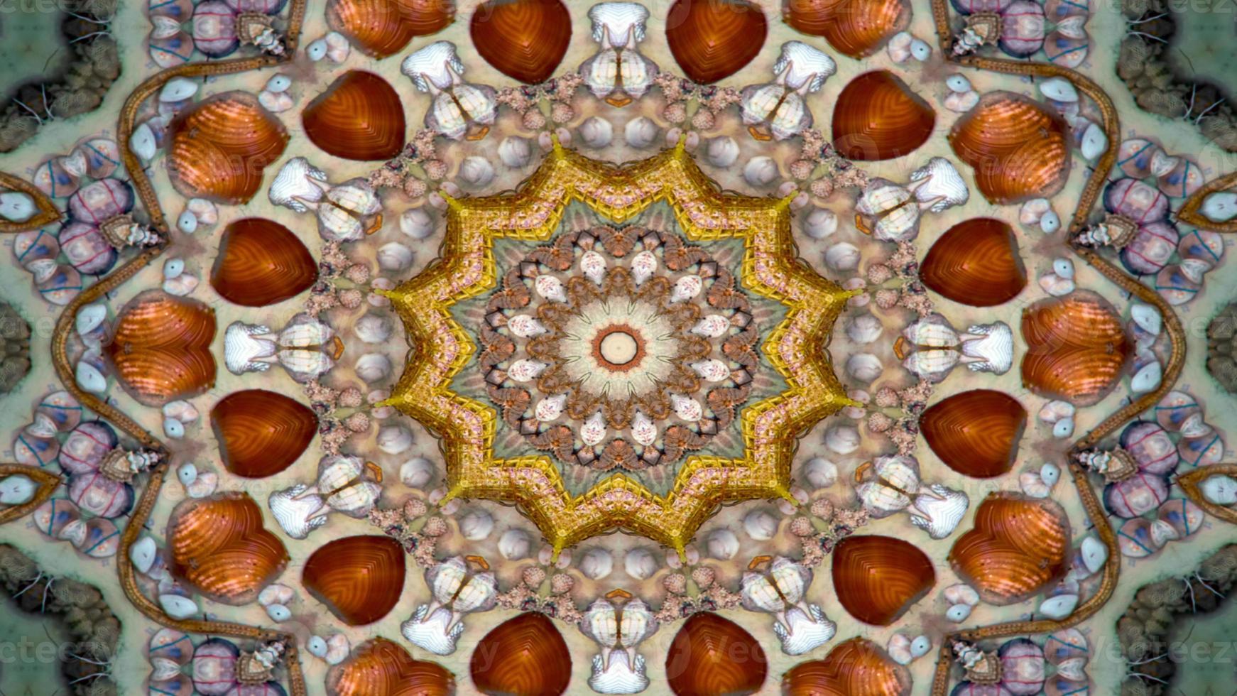 Dry Seashells and Stars Kaleidoscope photo