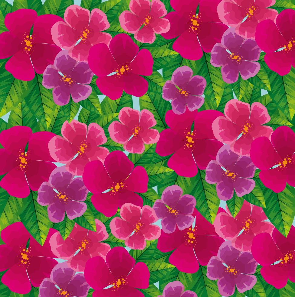 Fondo de lindas flores de color fucsia con hojas. vector