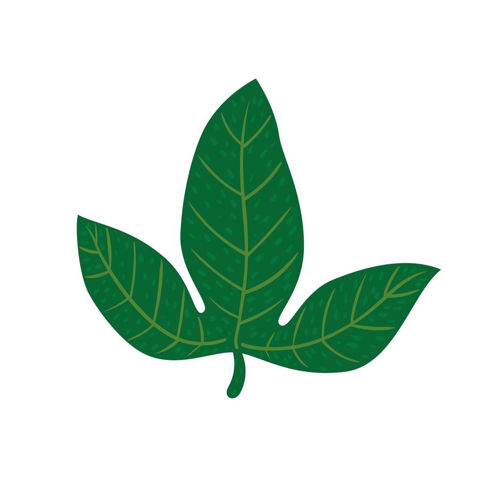 tropical green leaf vector
