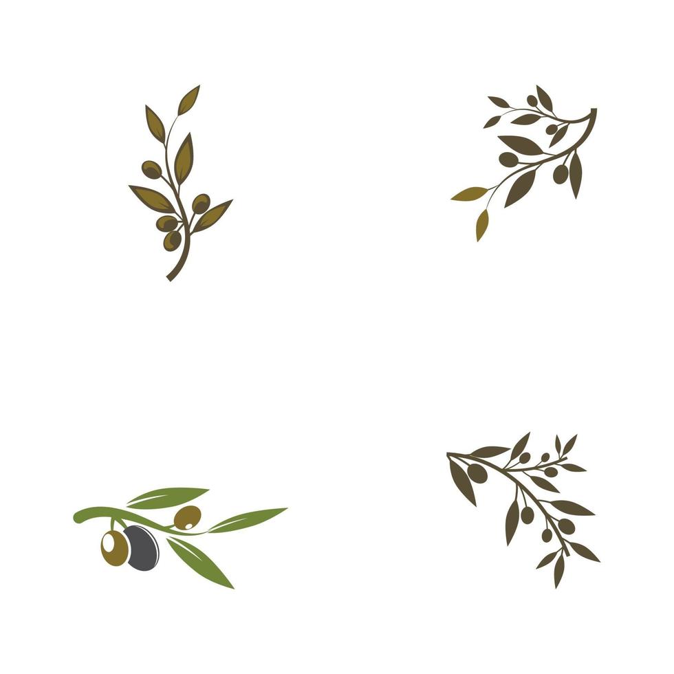 olive icon vector illustration design template