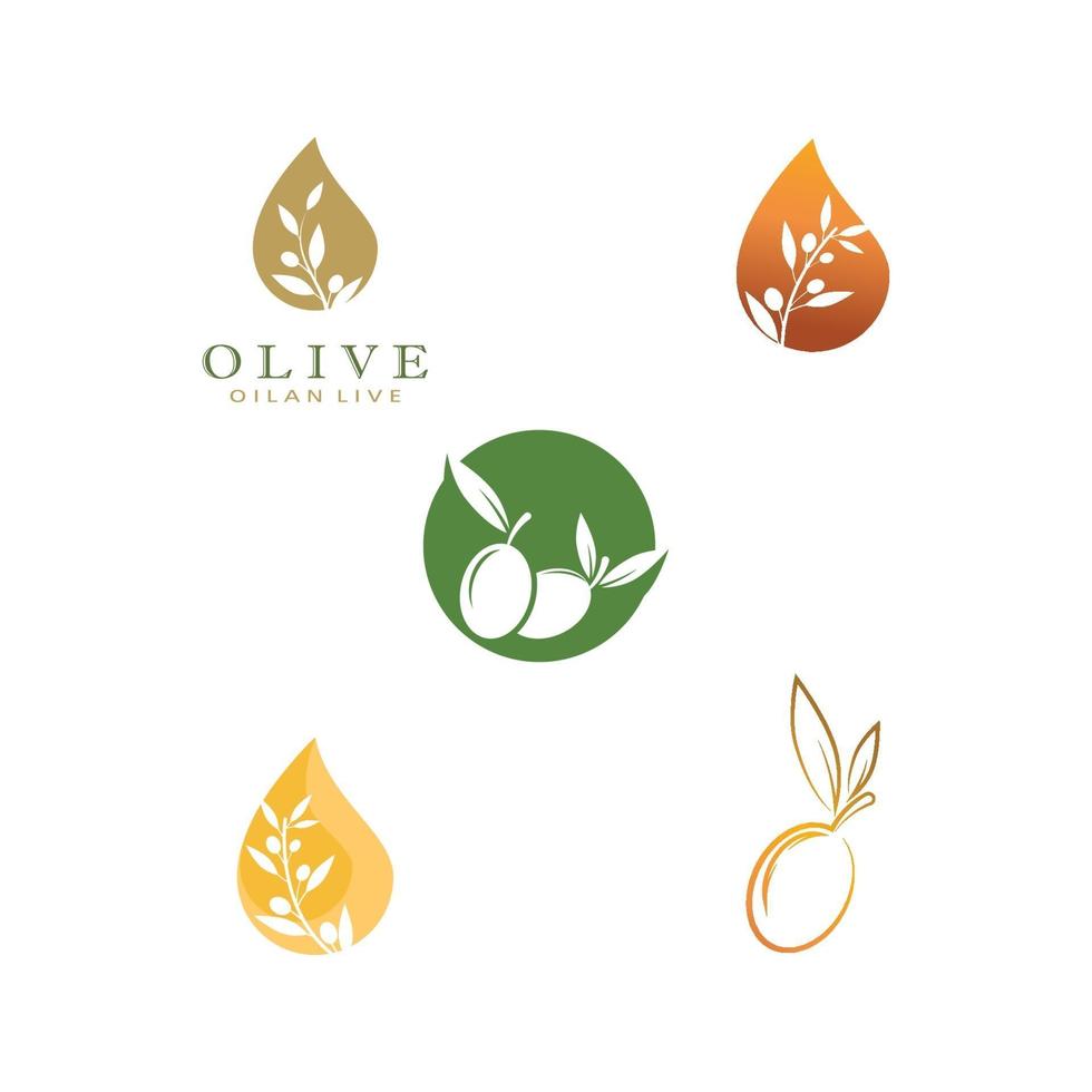 olive icon vector illustration design template