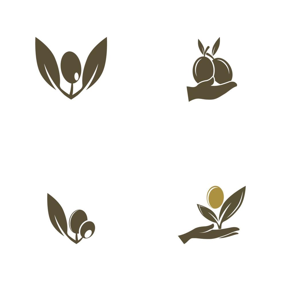 olive icon vector illustration design template